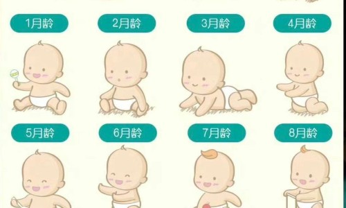 婴儿轻便伞车多大宝宝坐-婴儿可坐可躺轻便伞车-专业可坐可躺婴儿车适合几个月宝宝平台-乙肝患者可以吃茄子吗