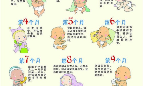 婴儿能坐能躺的车哪种好-婴儿可坐可躺轻便伞车-专业可坐可躺婴儿车适合几个月宝宝平台-乙肝患者可以吃茄子吗